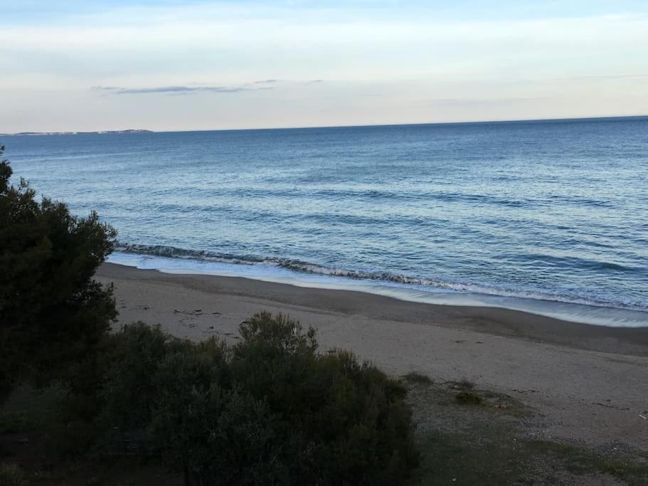 Beach-Lovers - Apartamento 1Era Linia Mar Miami Playa Dış mekan fotoğraf