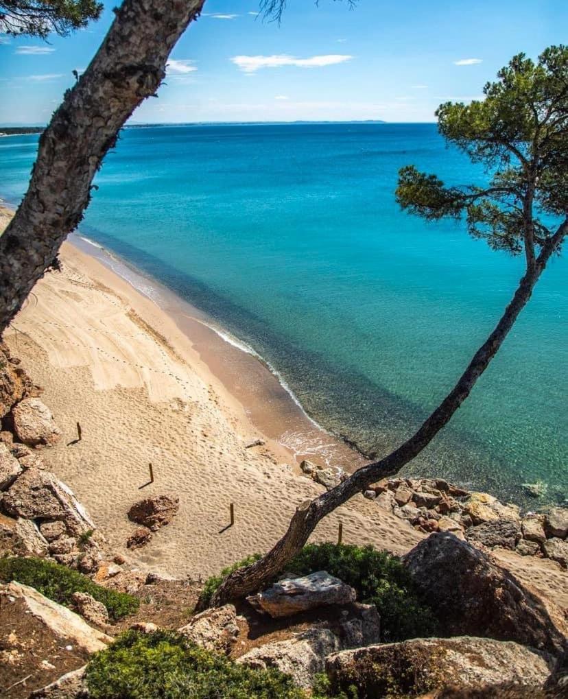 Beach-Lovers - Apartamento 1Era Linia Mar Miami Playa Dış mekan fotoğraf